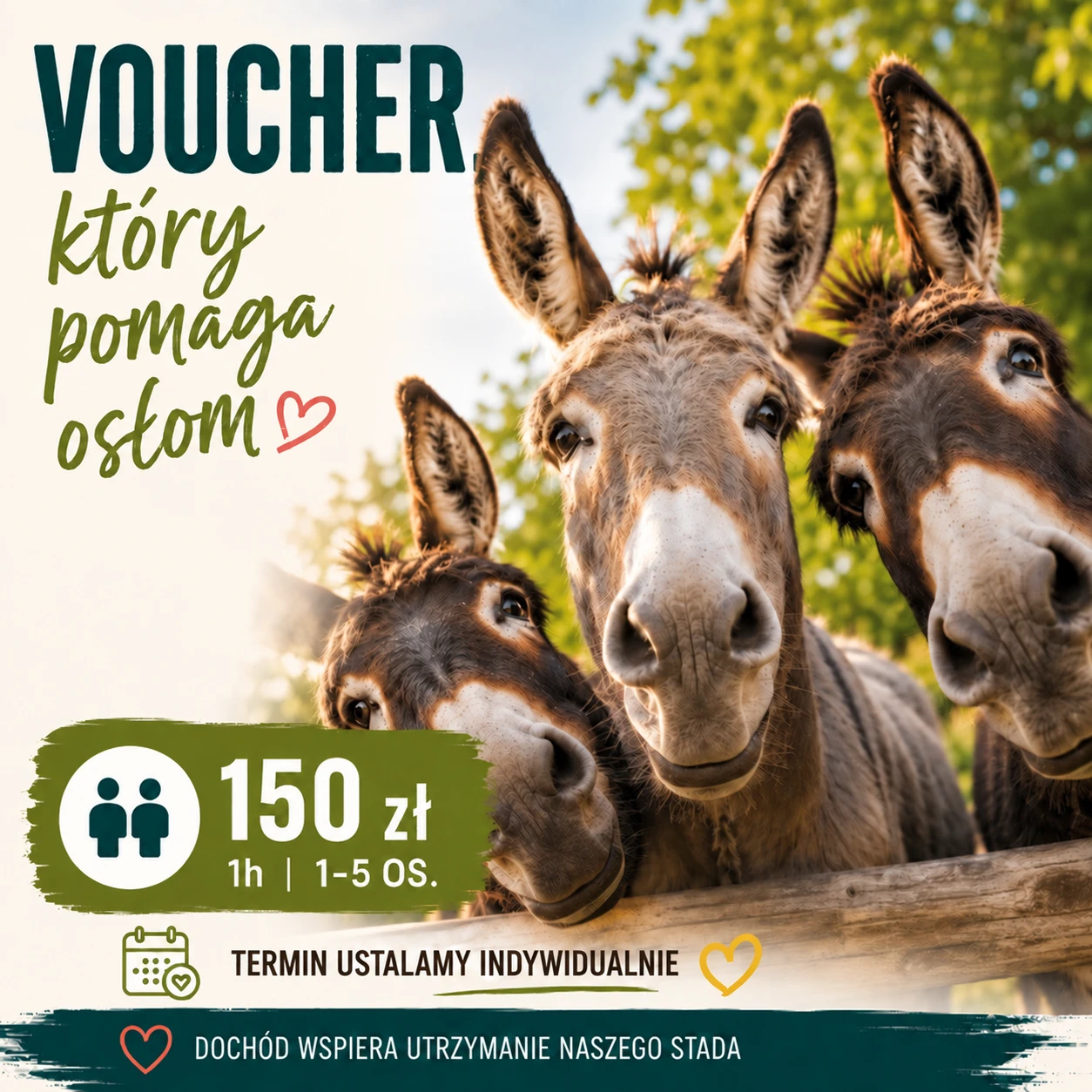 voucher nagłówek